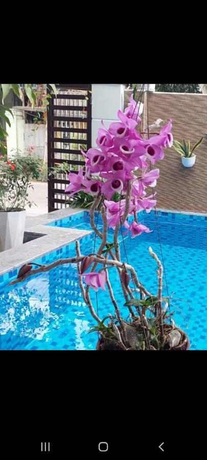 Riverlife Homestay Hoi An Eksteriør billede